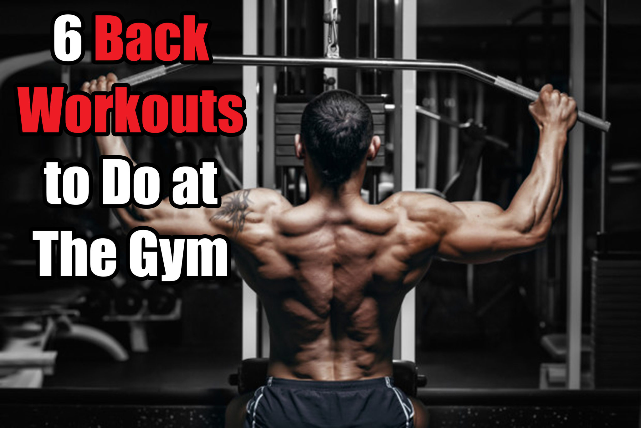 back workouts