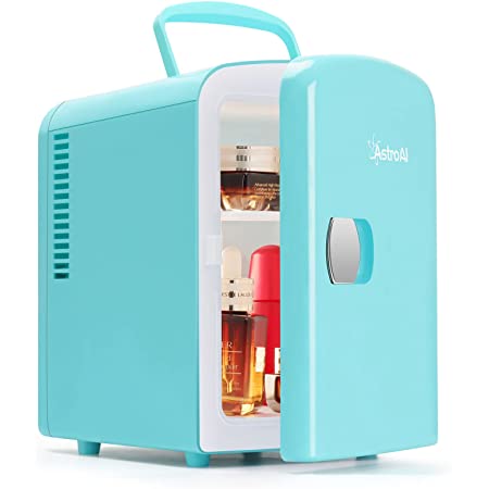 portable mini fridge for college dorm