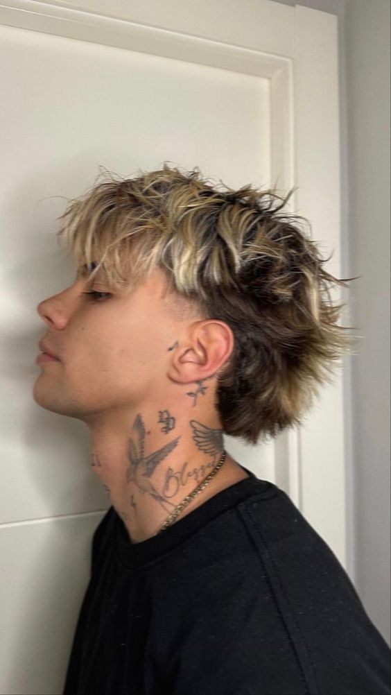 Wolf cut mullet 