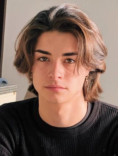 Wolf cut hairstyles for men 