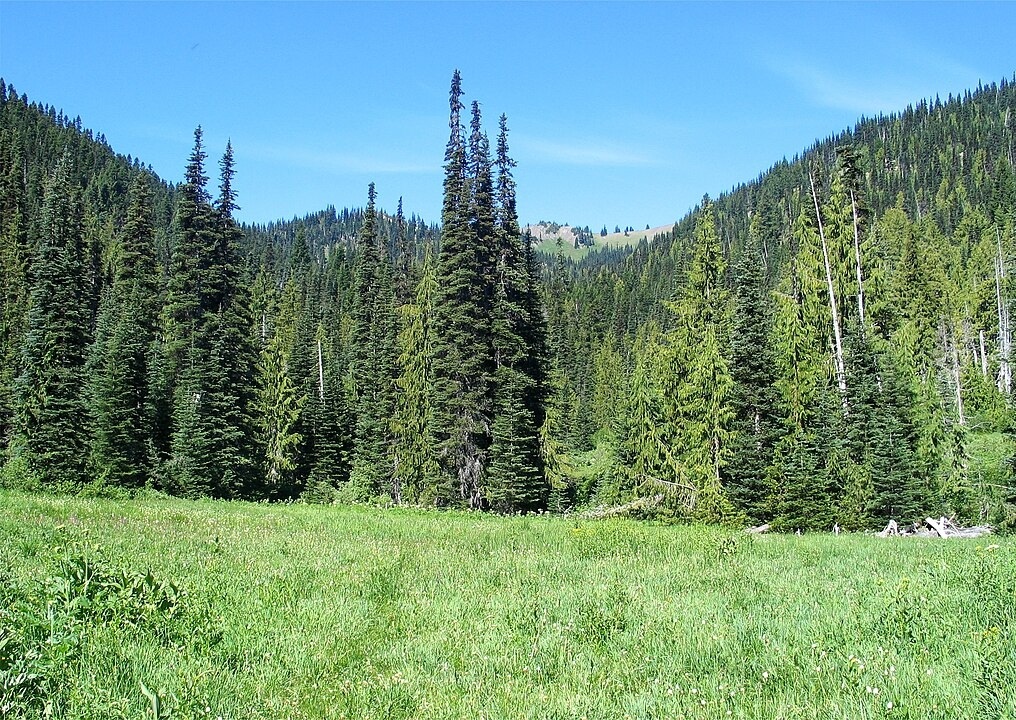 North Glade Hills (Low-Traffic Ridges)