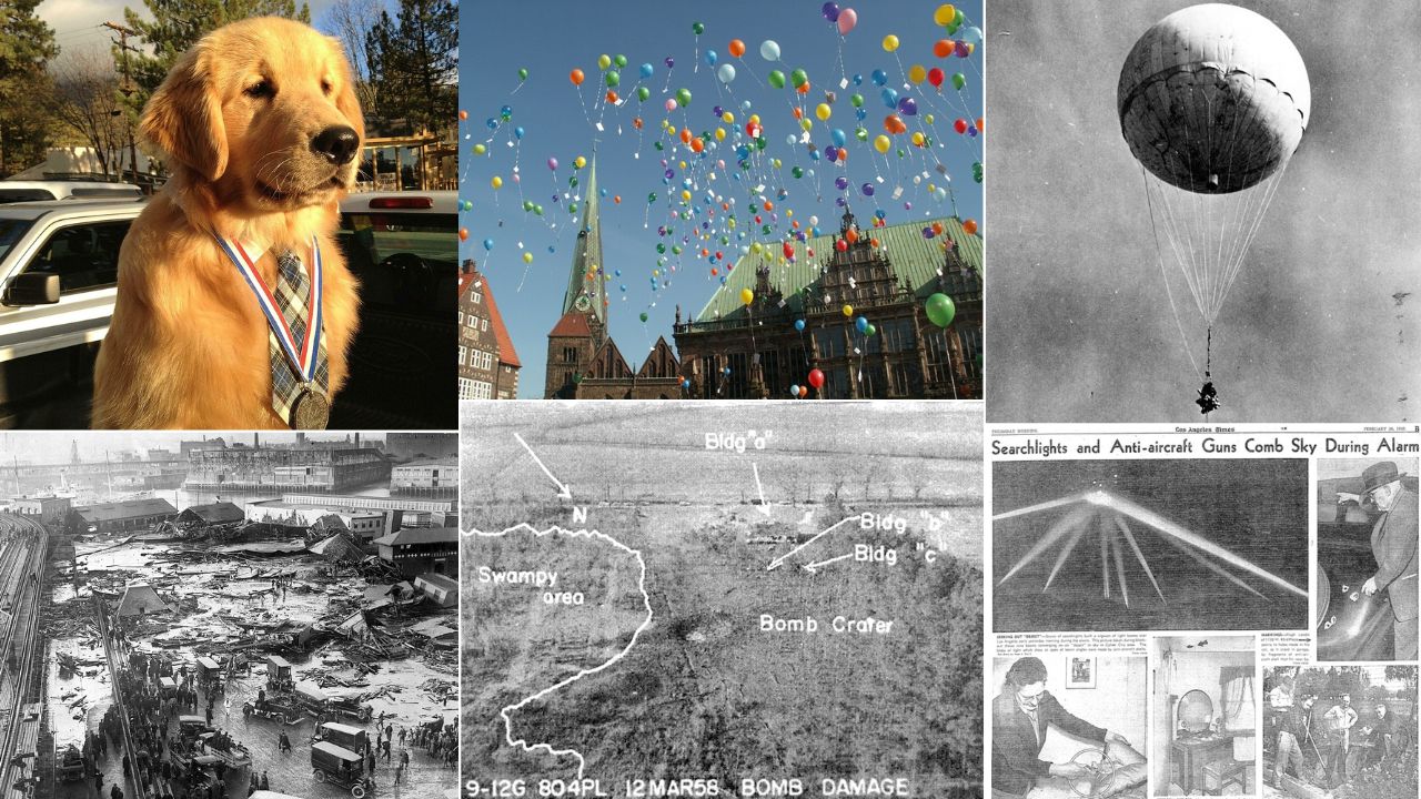 15 Historical American Events That Sound Too Strange to Be True (1)