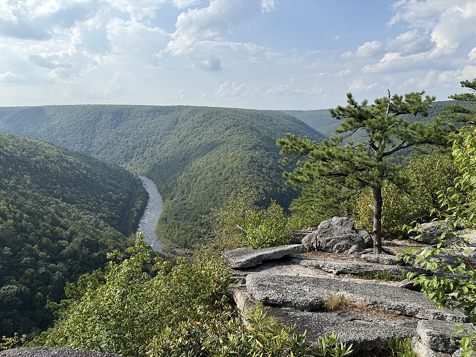 The Blakeslee (South Shore Woods)