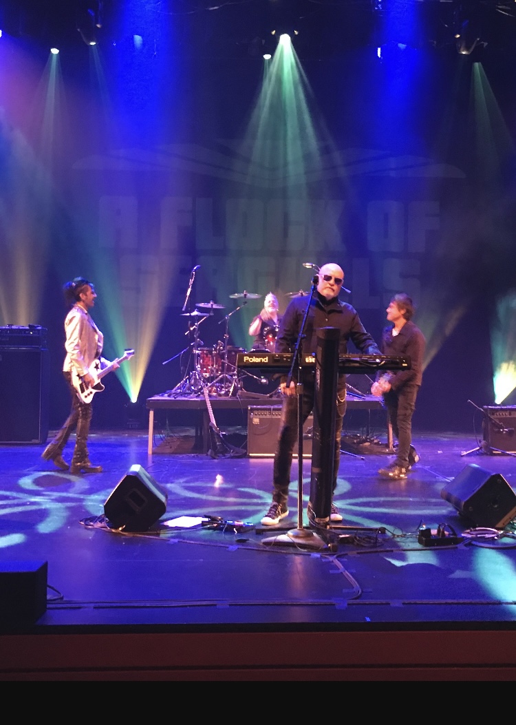 The "Flock of Seagulls" Hairstyle