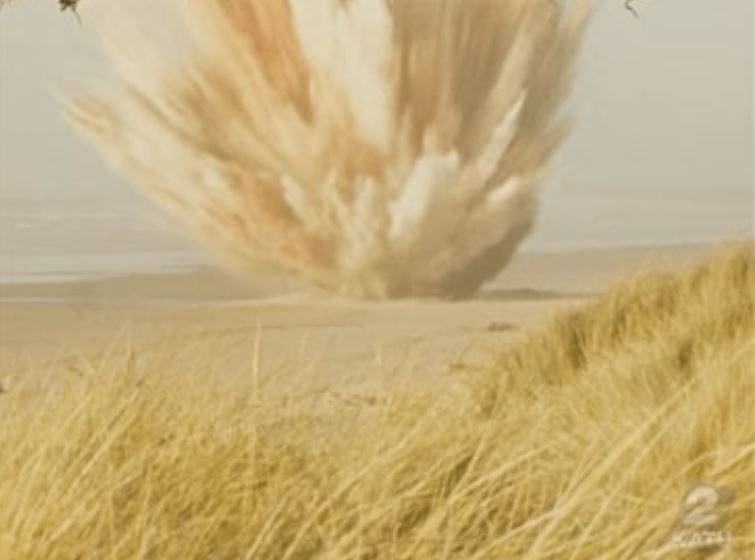 Exploding Whale on the Beach