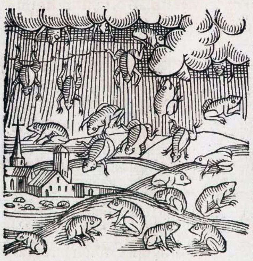 The Day It Rained Frogs in Kansas