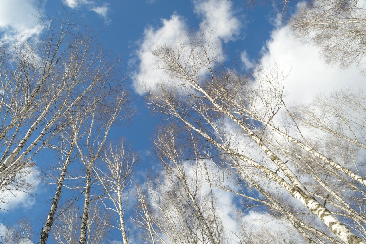 The "Skyquake" Phenomenon