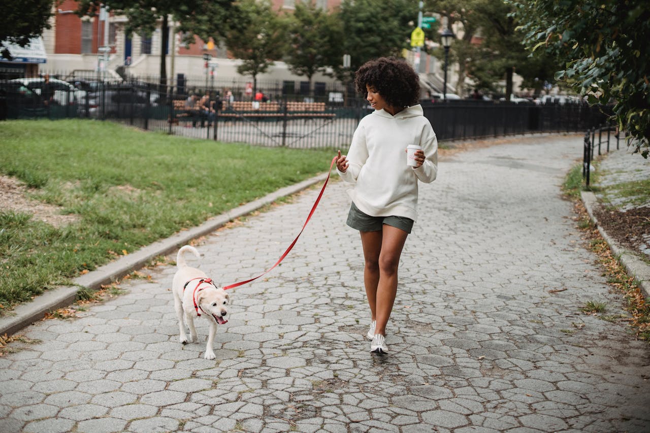 Routines That Actually Stick Like Walking your Dog