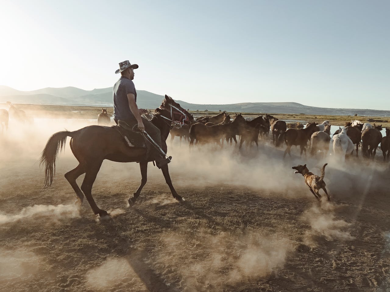 The Wild West Was All About Cattle Drives