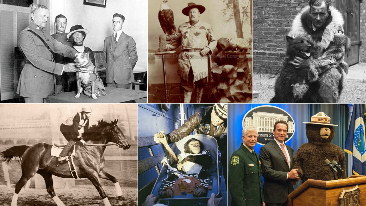 10 Famous Animals That Changed U.S. History