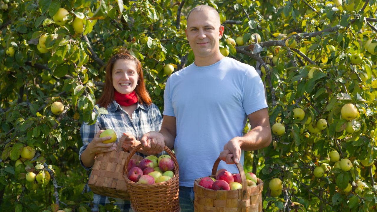 10 Farm-to-Table Tours That Turn Travelers Into Chefs