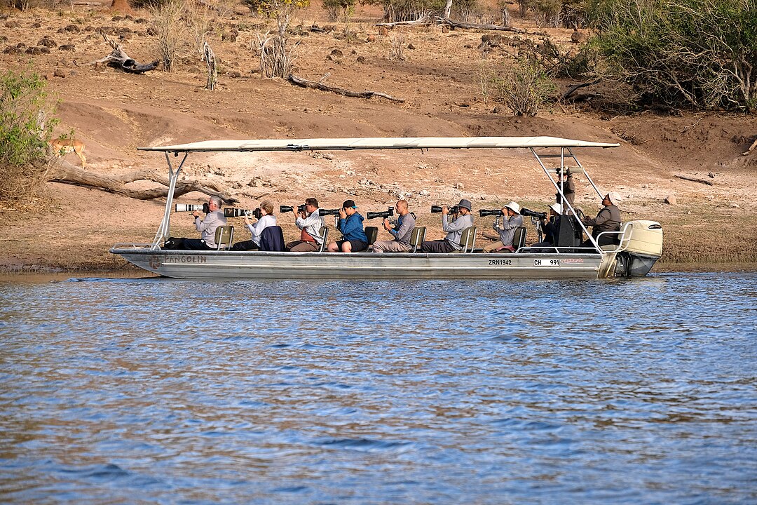 Wildlife Safe Viewing Prevents Harm