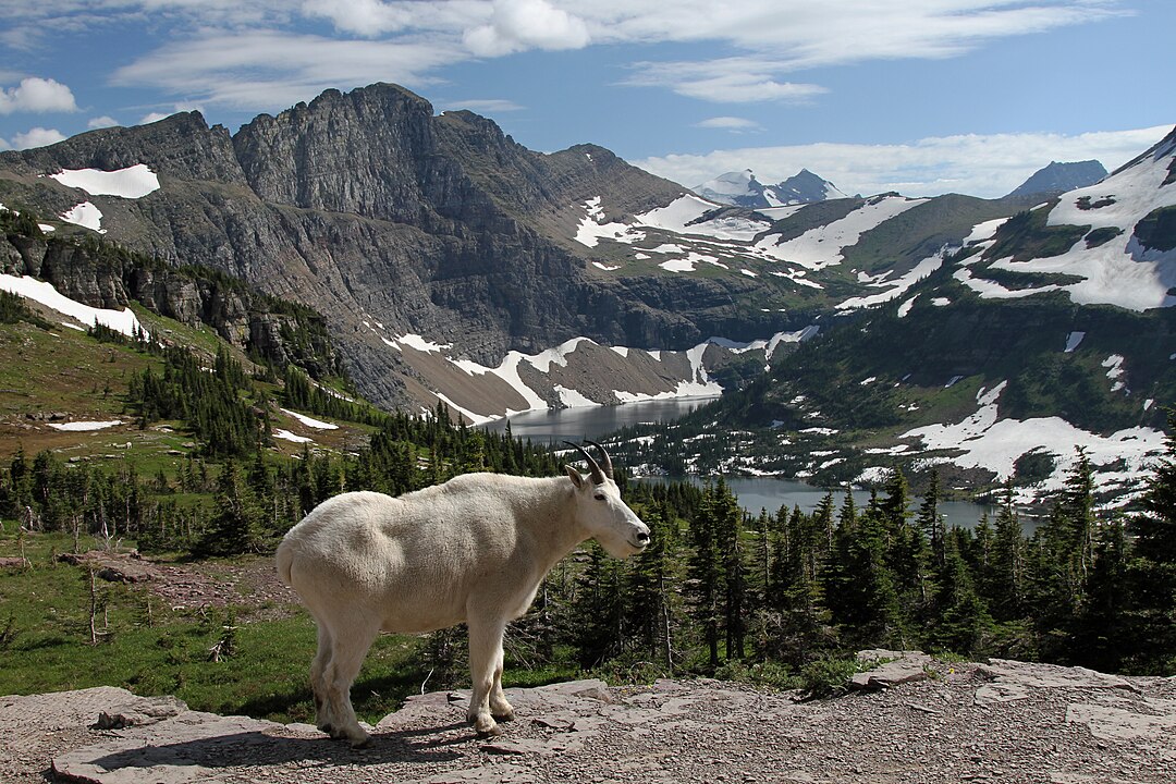 Glacier National Park, Montana