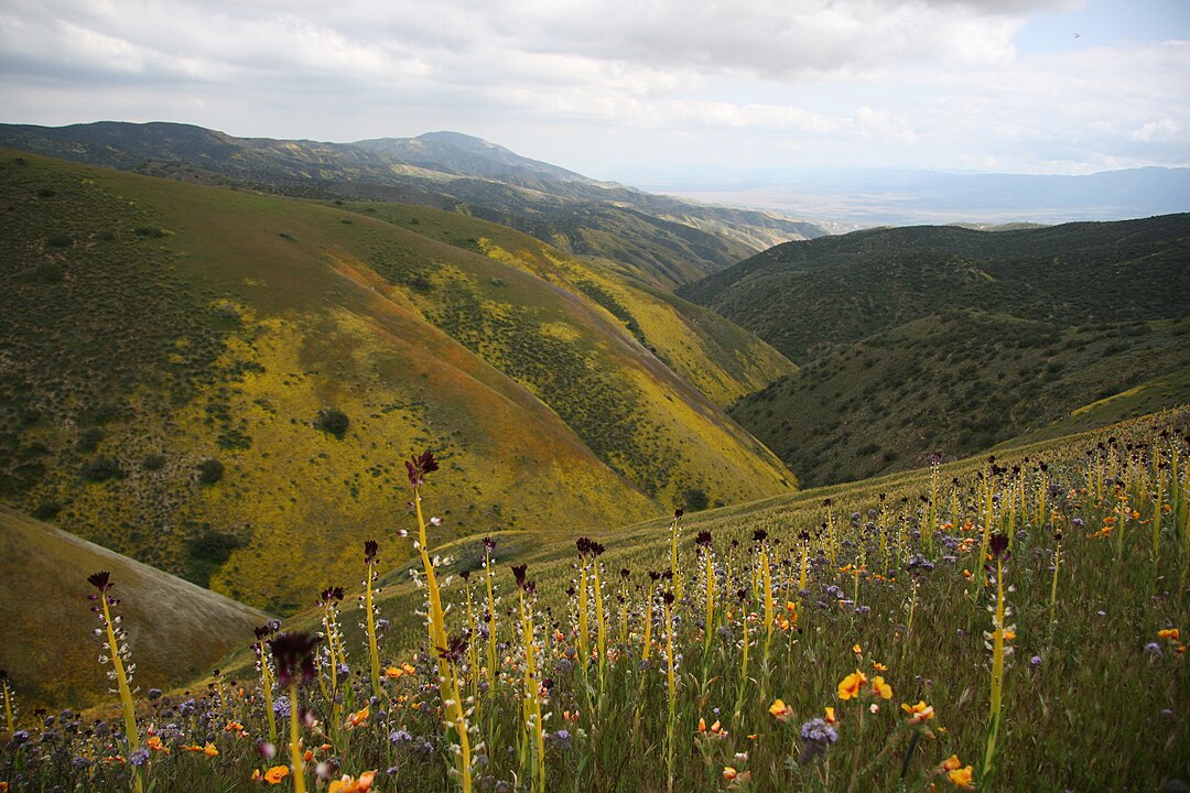 Carrizo Plain National Monument