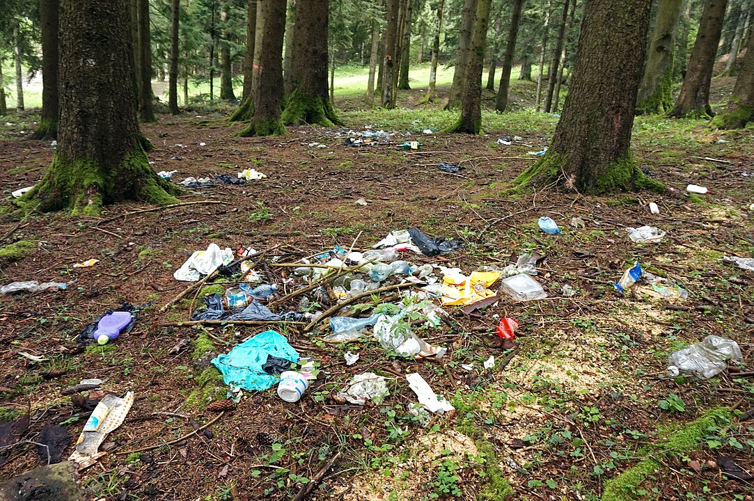 Leave No Trace Protects Wild Places