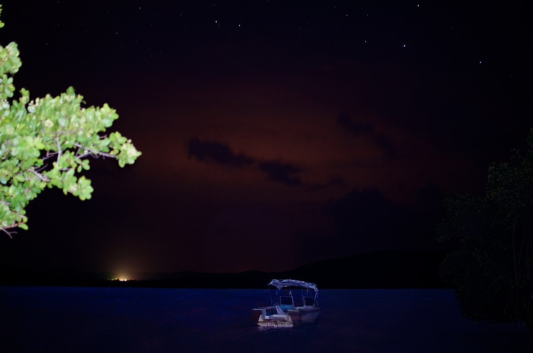 Bioluminescent Kayak, Vieques, Puerto Rico