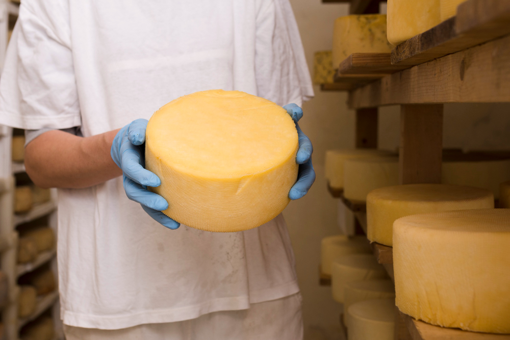 Vermont Farmstead Cheesemaking and Tasting