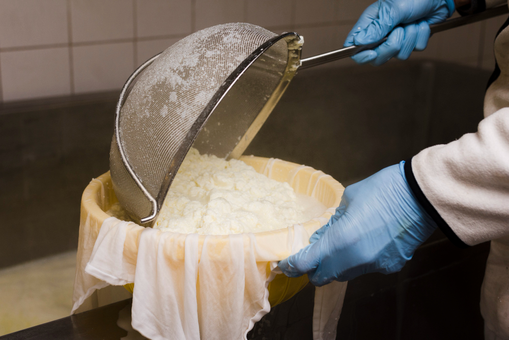 Cheesemaking in Lancaster County, Pennsylvania