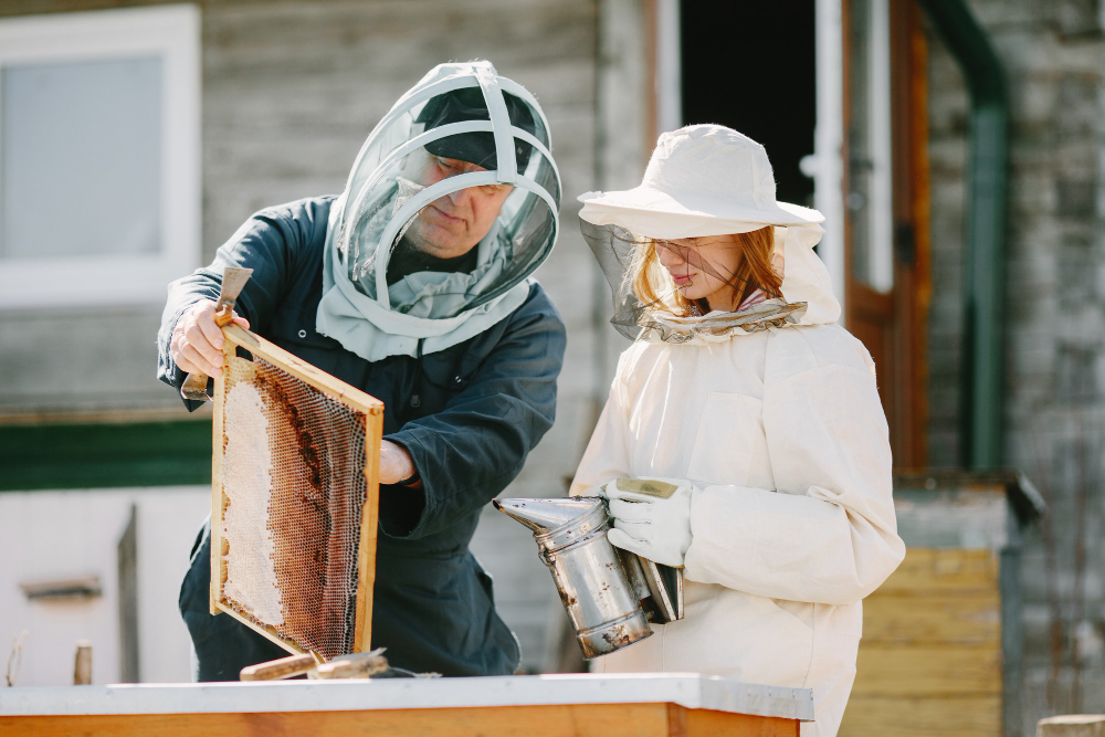 Asheville Beekeeping and Honey Kitchen, North Carolina