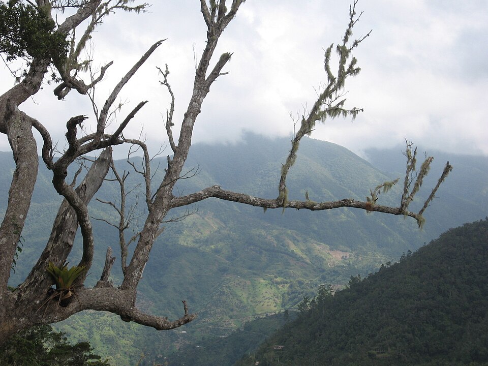 Blue and John Crow Mountains, Jamaica