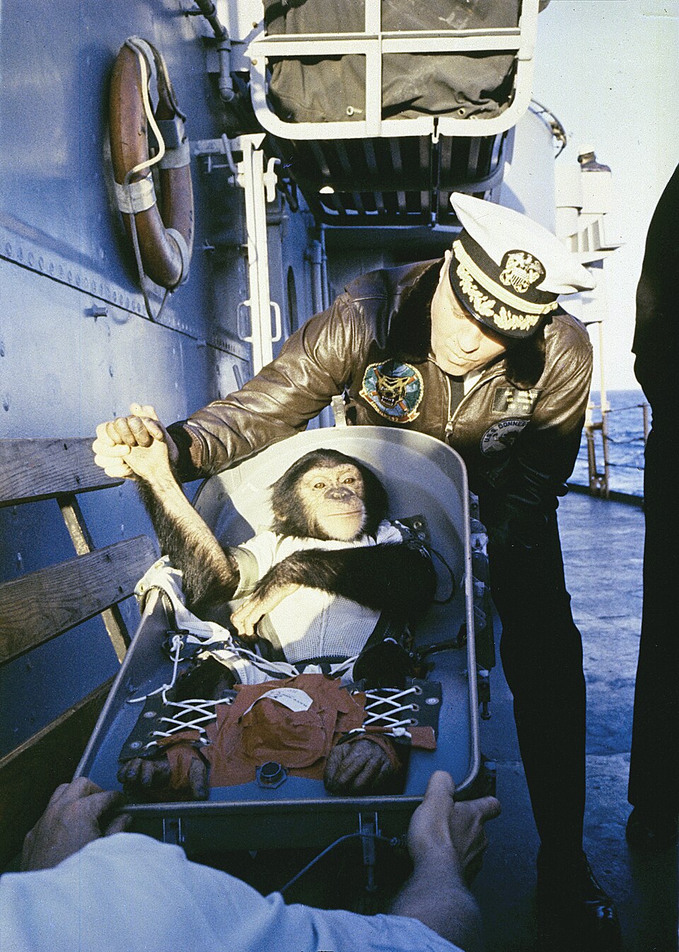 Ham, the Mercury Chimpanzee