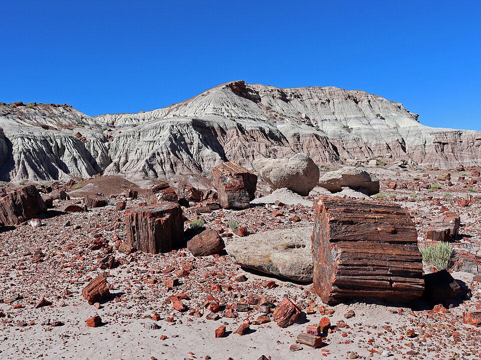 Route 66 Pullout - Petrified Forest National Park, Arizona
