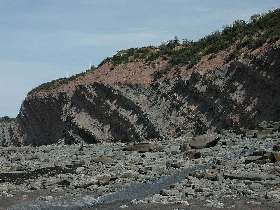 Joggins Fossil Cliffs, Nova Scotia