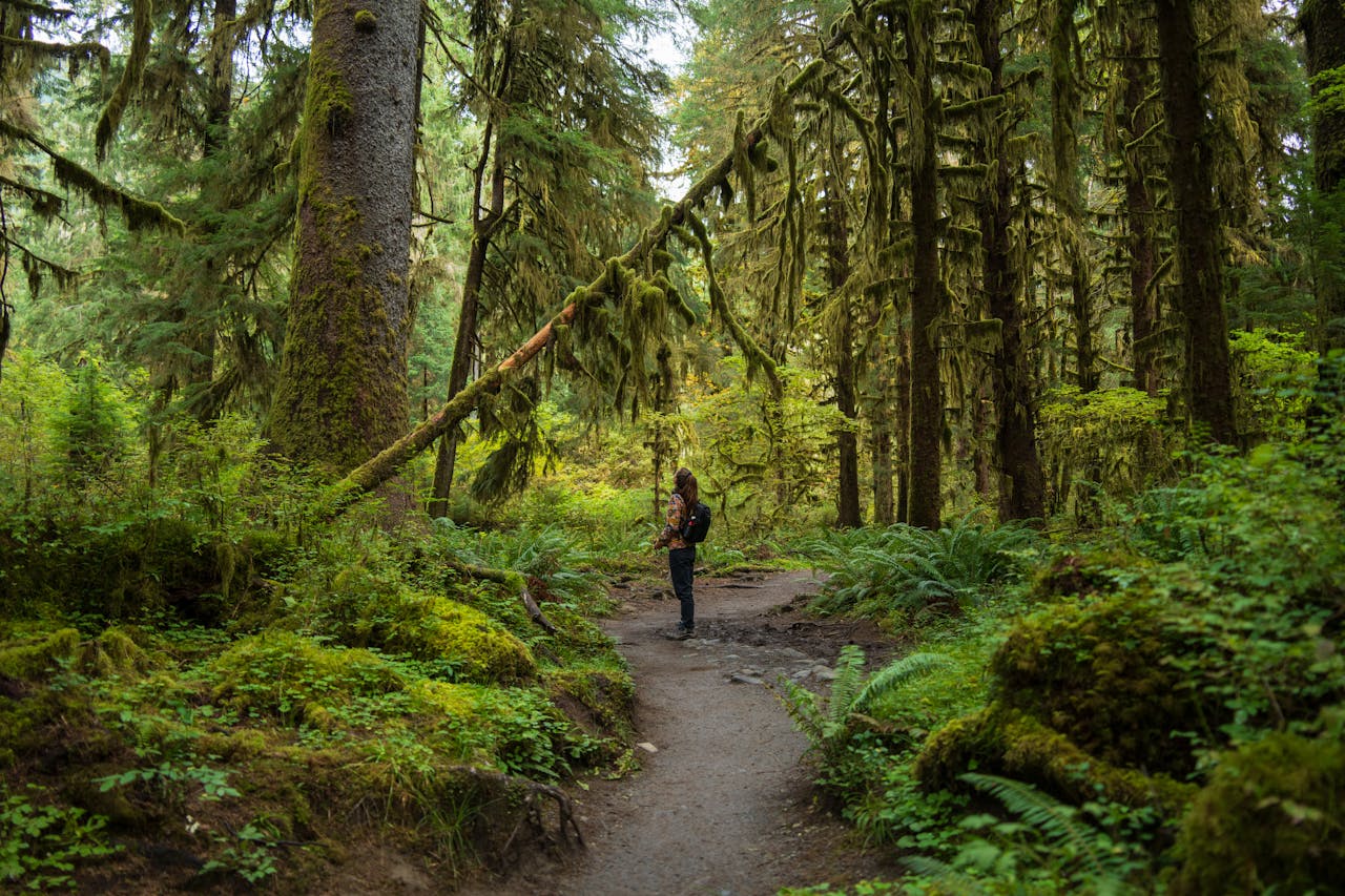 Olympic National Park, Washington