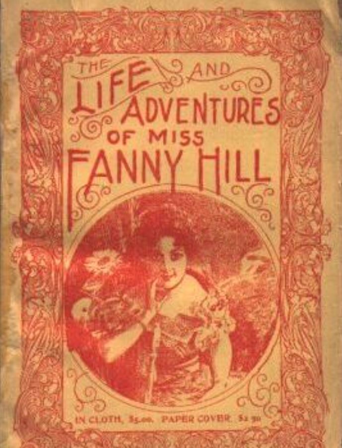 Anti-Obscenity Law in Michigan (2013)