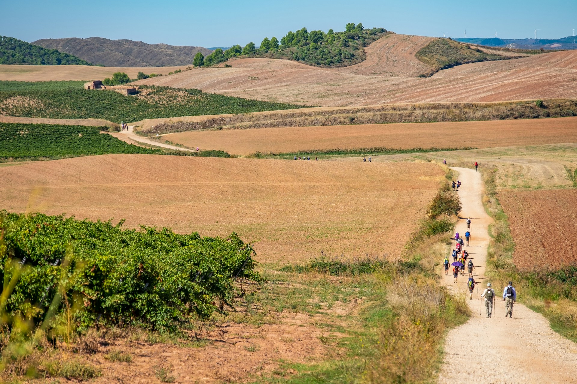 camino de santiago