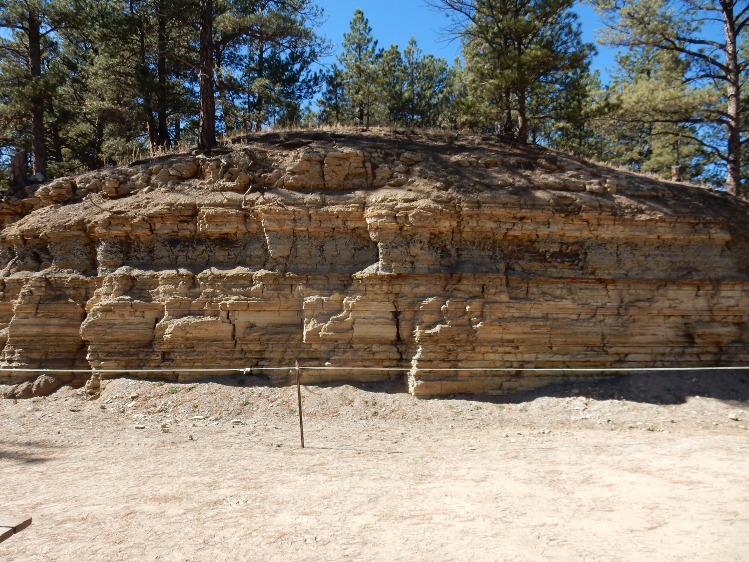Florissant Fossil Beds, Colorado’s Ancient Lake Story
