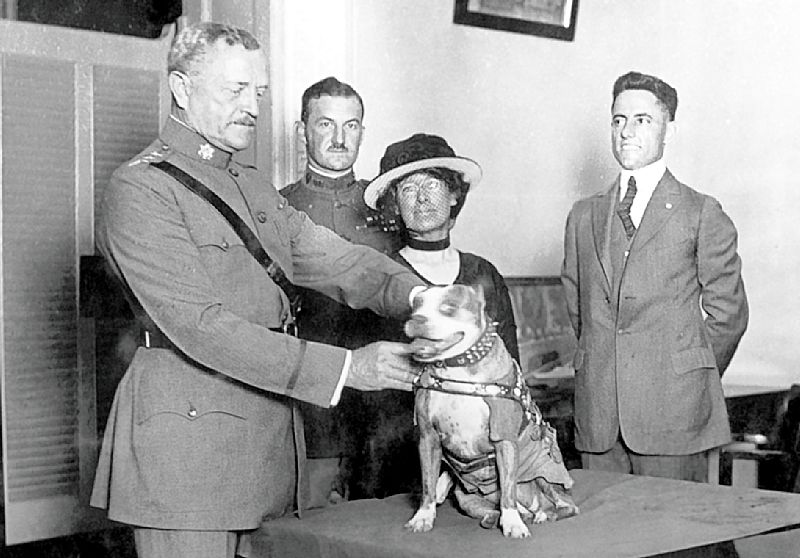 Sgt. Stubby, World War I Dog