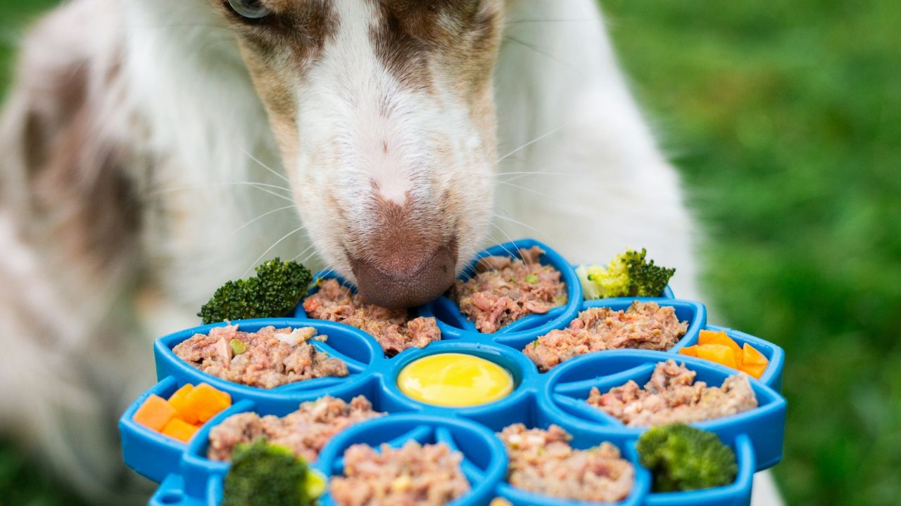 Guessing food portions