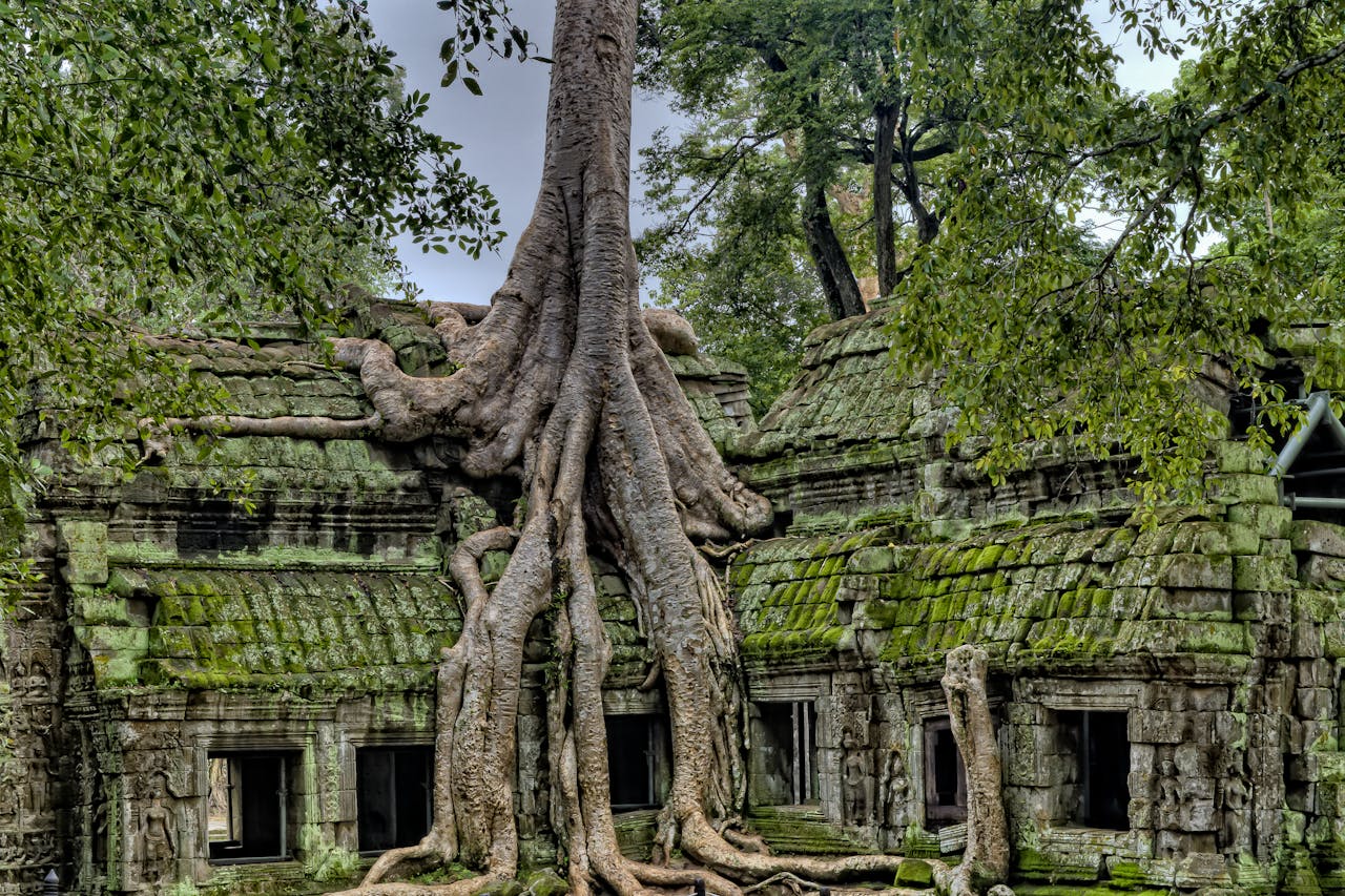 Ta Prohm, Cambodia