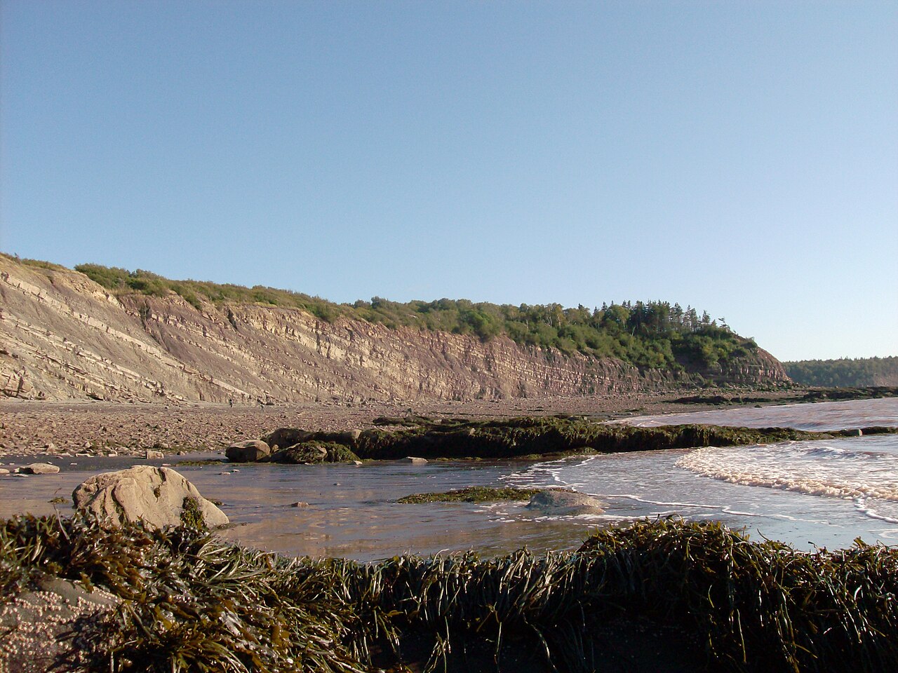 Joggins Fossil Cliffs (Nova Scotia, Canada)