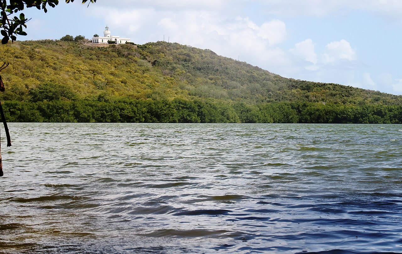 Laguna Grande, Fajardo, Puerto Rico