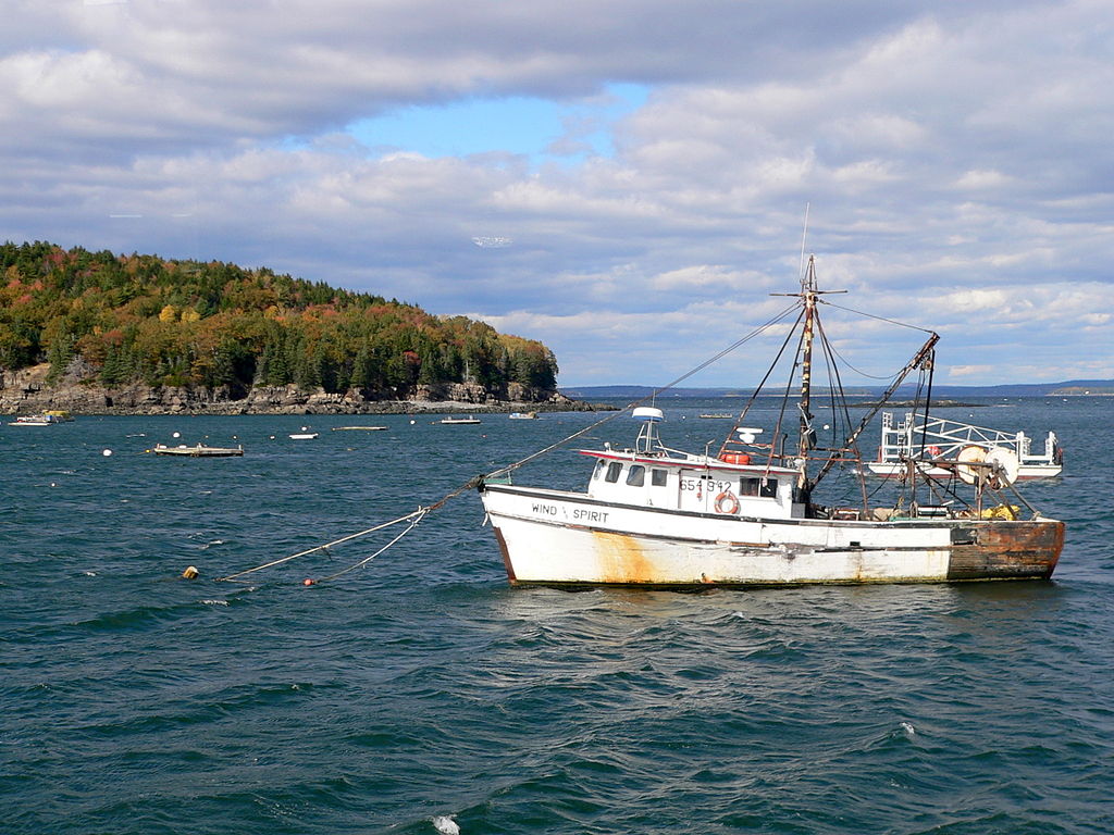 Lobster Boat to Shore Cookout in Portland, Maine