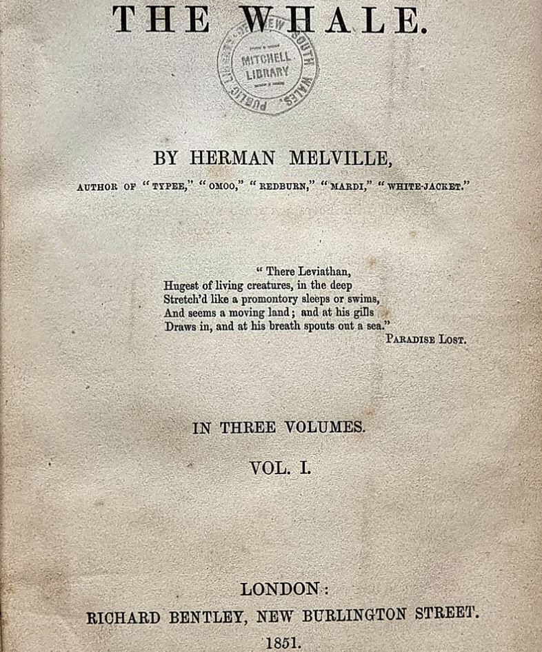 Moby-Dick and Ocean Drones