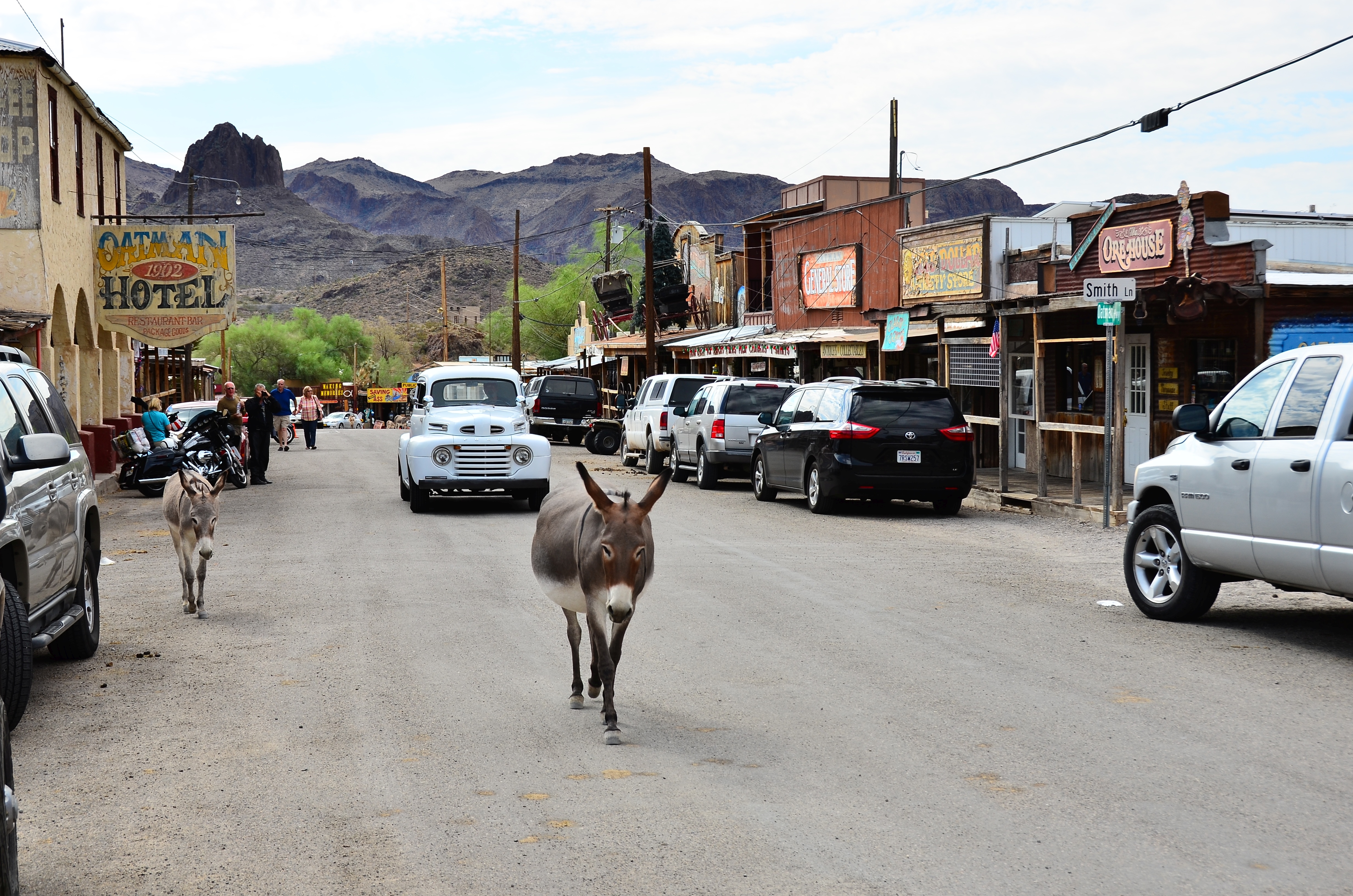 Oatman - Arizona