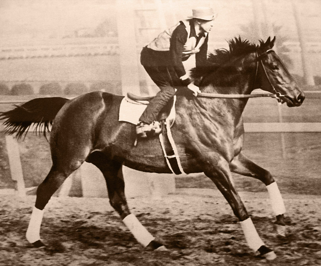 Seabiscuit, the Depression Era Racehorse