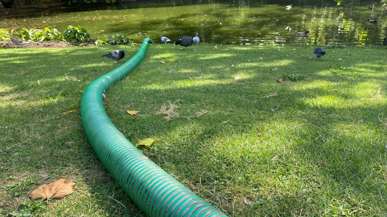 Septic system installs and illegal sewer hookups