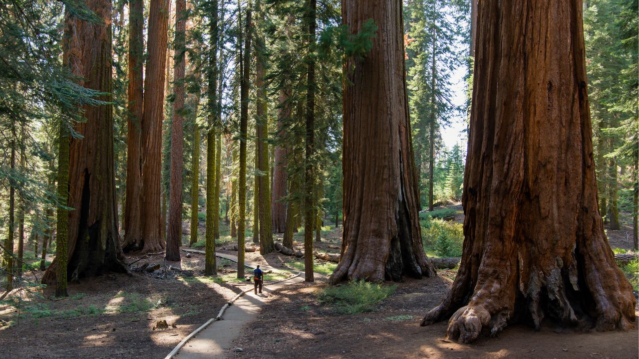 What Happens to National Parks If Government Funding Runs Out in 2025
