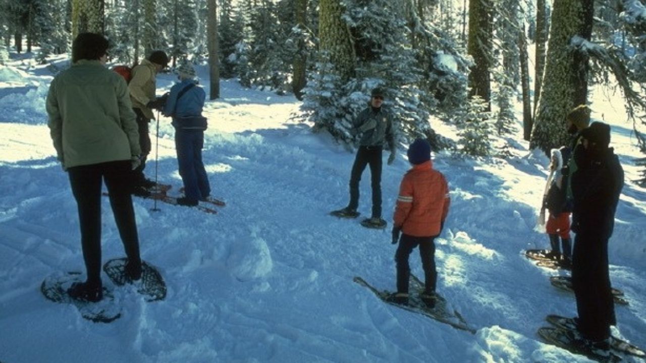 Winter Snowshoe, Yosemite, California