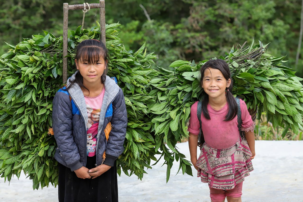 Child Labor, Minerals, and Cocoa