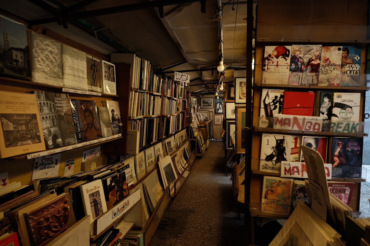 Art Prints and Posters