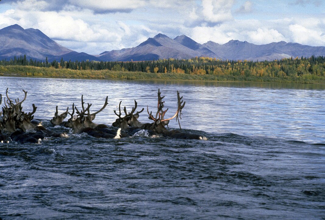 Kobuk Valley National Park, Alaska