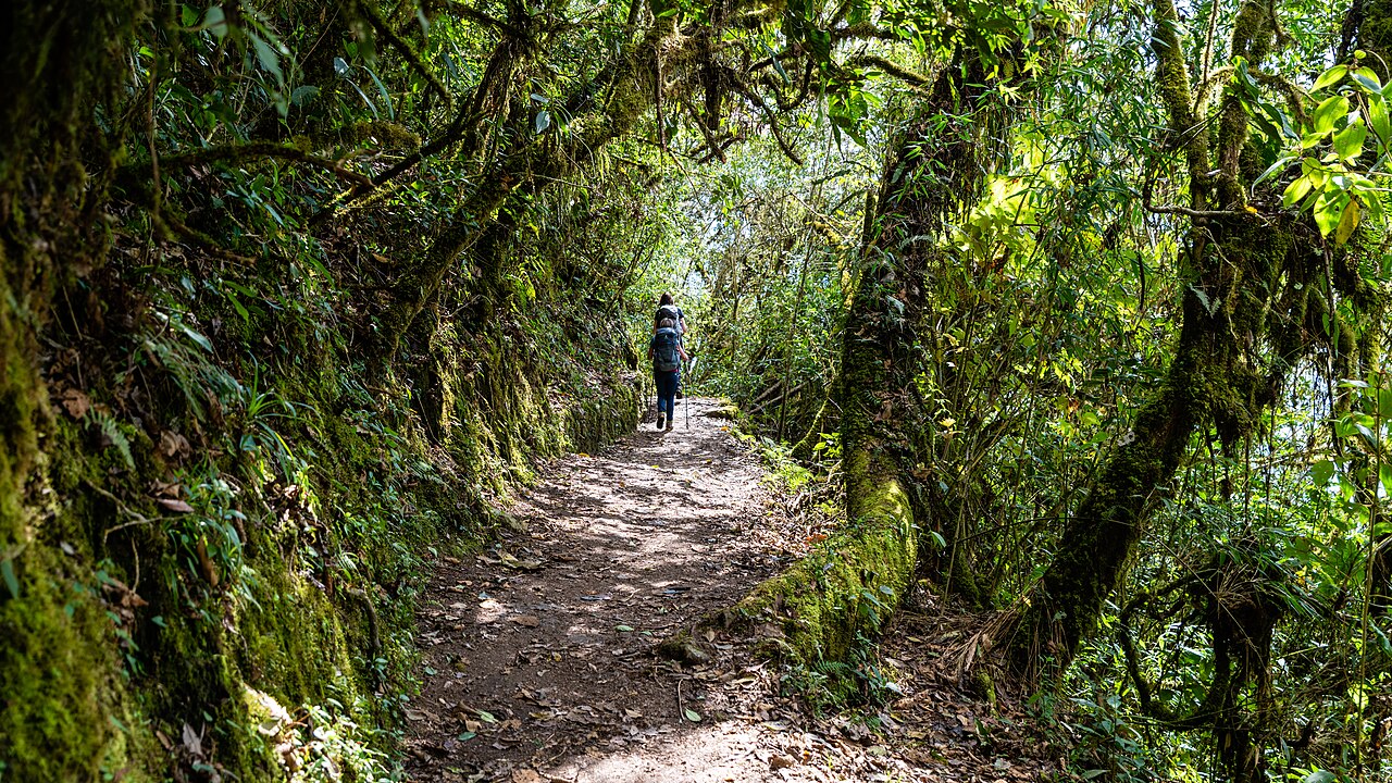 Machu Picchu, Peru