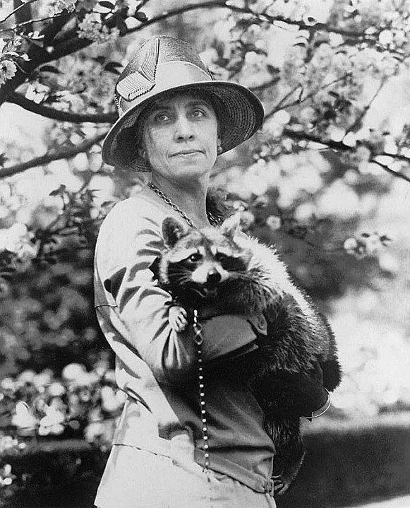 Calvin Coolidge And Rebecca The Raccoon