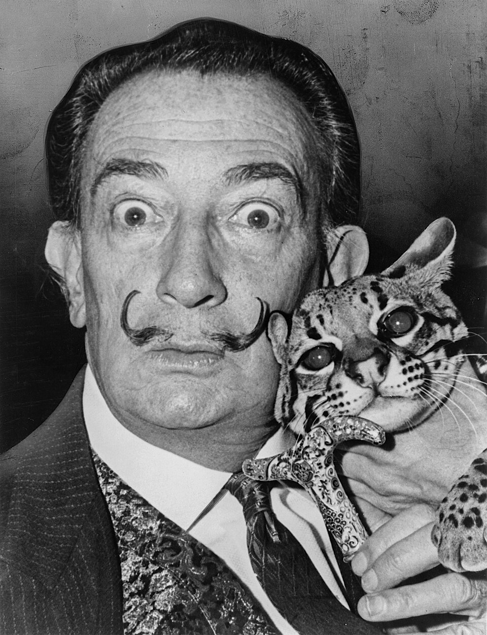 Salvador Dalí Loathed Insects