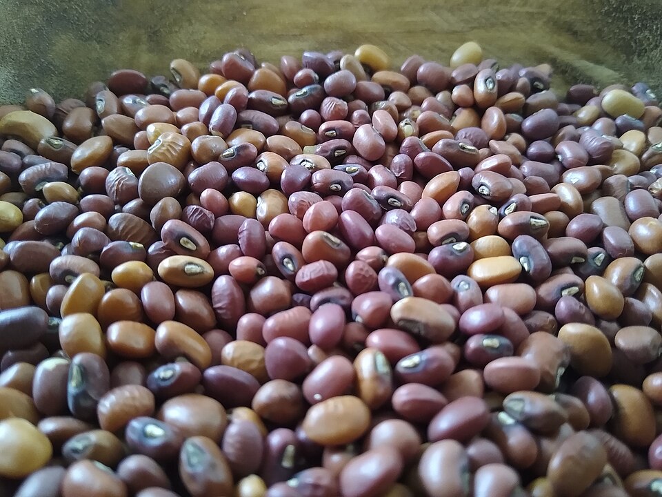 Sea Island Red Peas